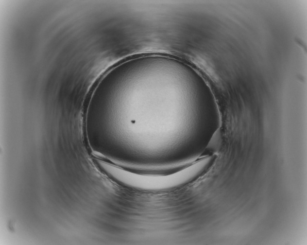 X0000097781268200803211751