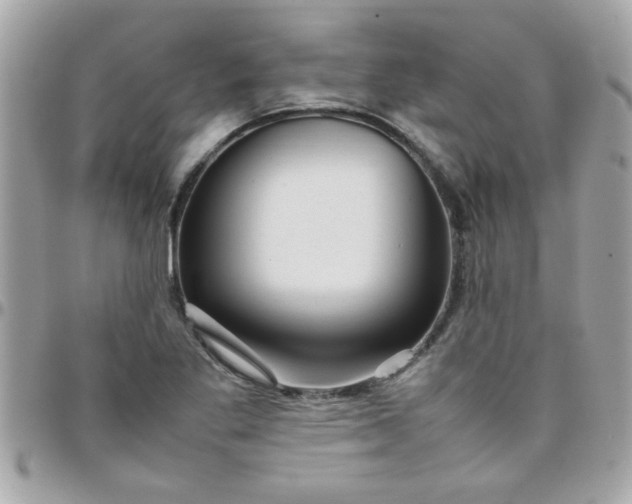 X0000097781269200803211751