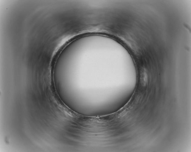 X0000097781270200803211751