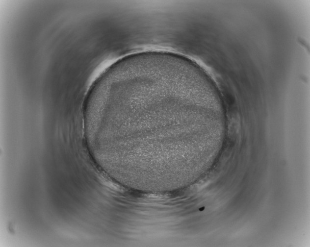 X0000097781271200803211751