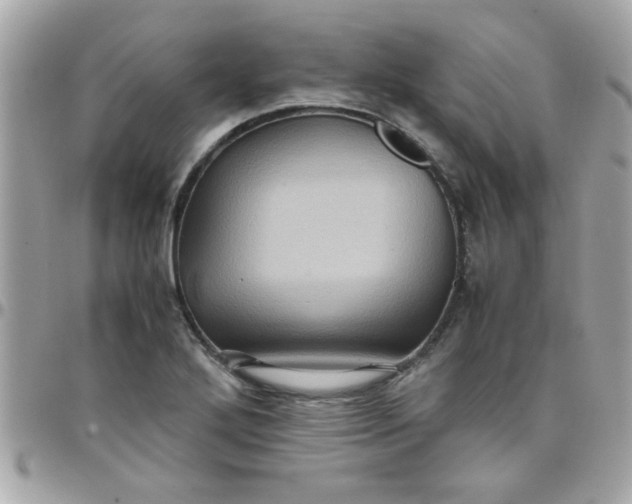 X0000097781272200803211751