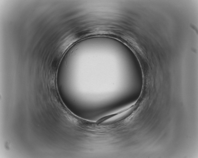 X0000097781273200803211751