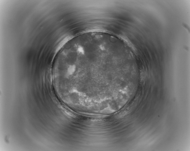 X0000097781274200803211751