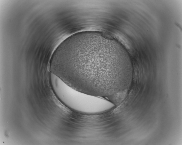 X0000097781276200803211751