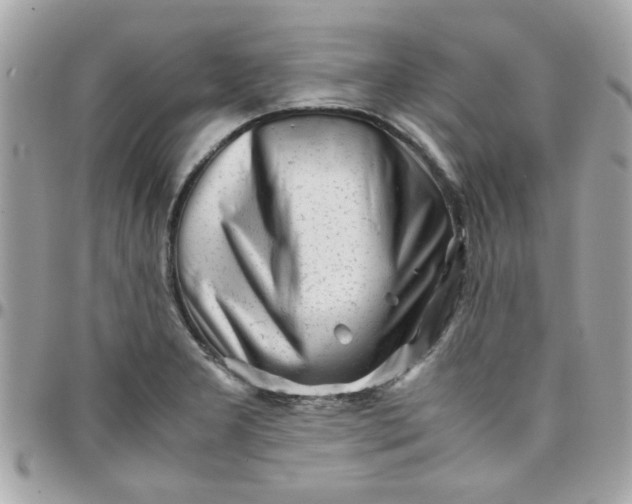 X0000097781277200803211751