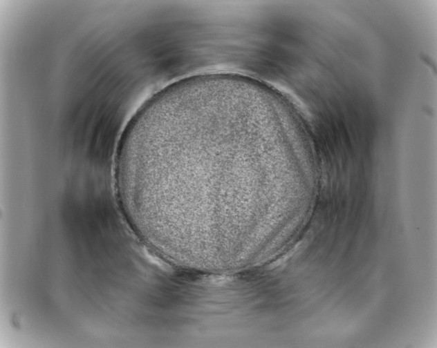 X0000097781278200803211751