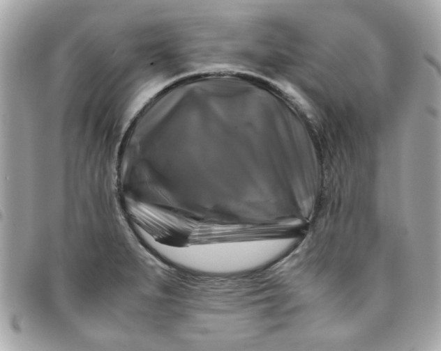 X0000097781279200803211751