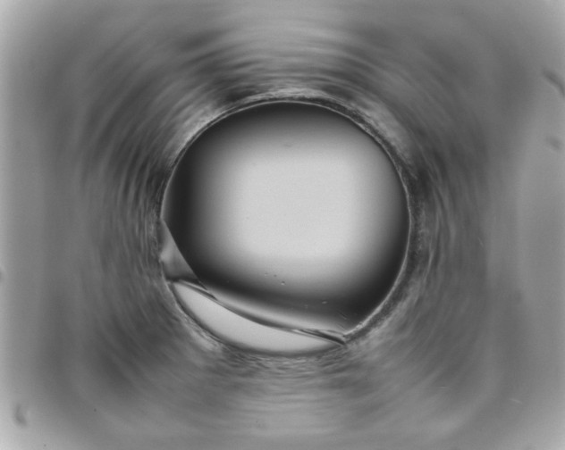 X0000097781281200803211751