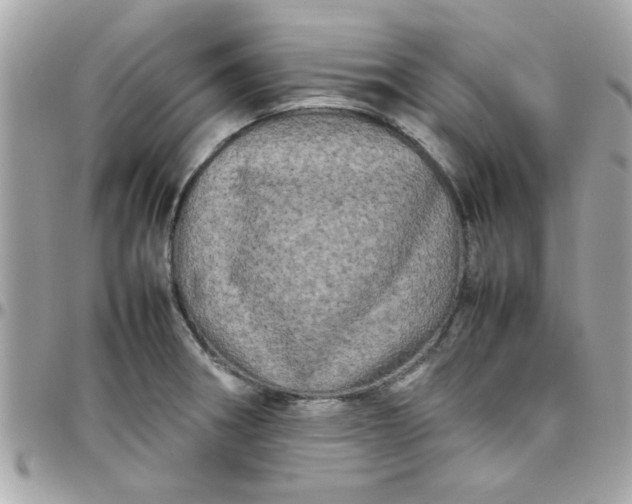 X0000097781282200803211751