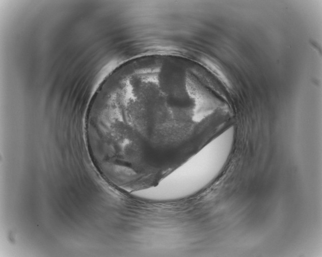 X0000097781283200803211751