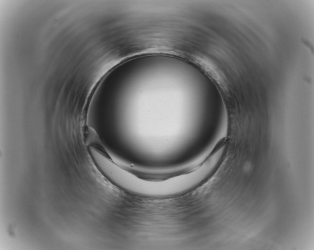 X0000097781284200803211751