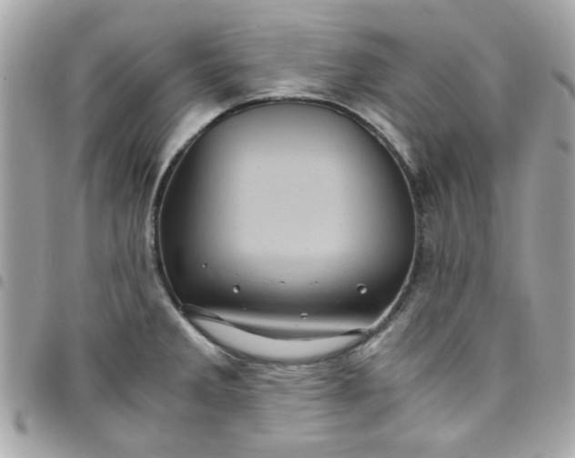 X0000097781285200803211751