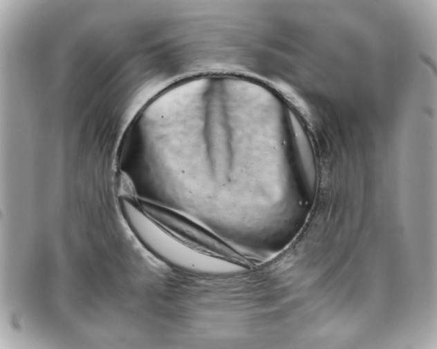 X0000097781287200803211750