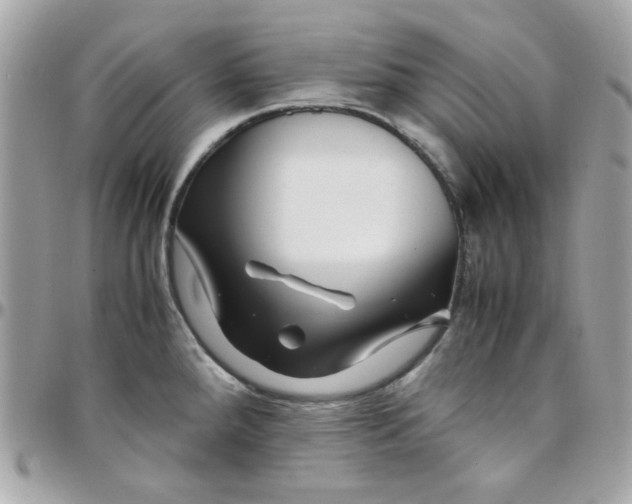 X0000097781288200803211750