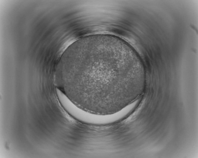 X0000097781289200803211750