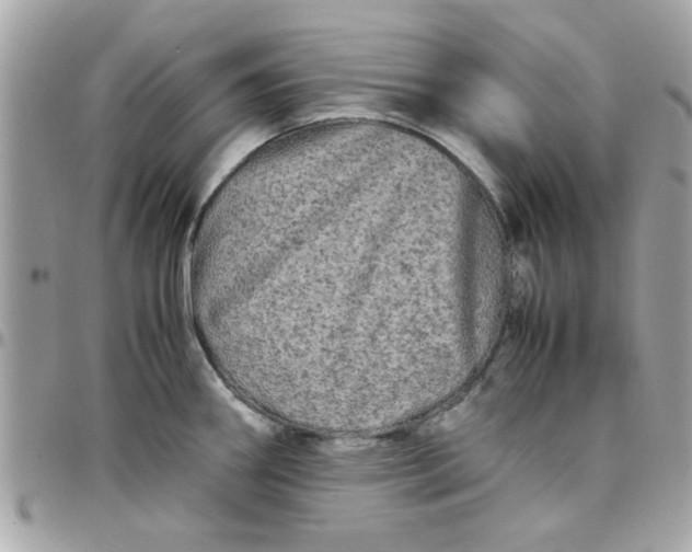 X0000097781290200803211750