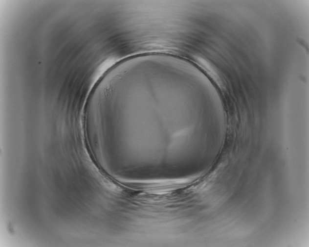 X0000097781291200803211750