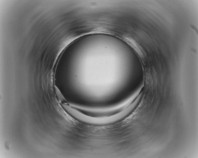 X0000097781292200803211750