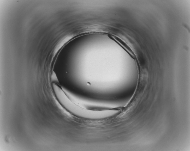 X0000097781293200803211750