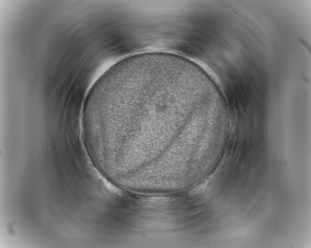 X0000097781294200803211750