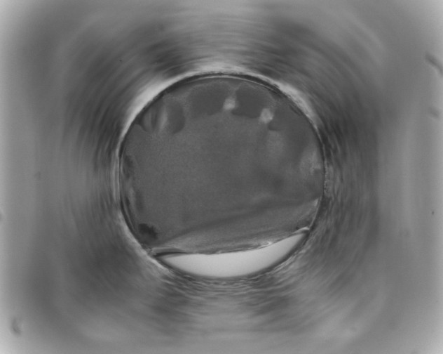 X0000097781295200803211750