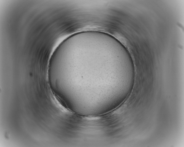 X0000097781296200803211750