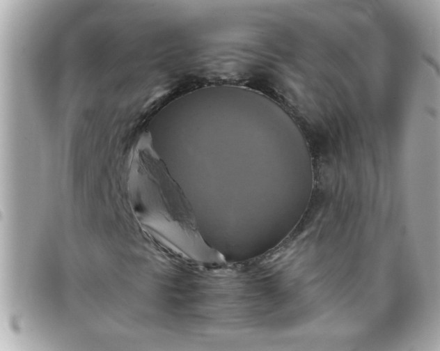 X0000097781297200803211750