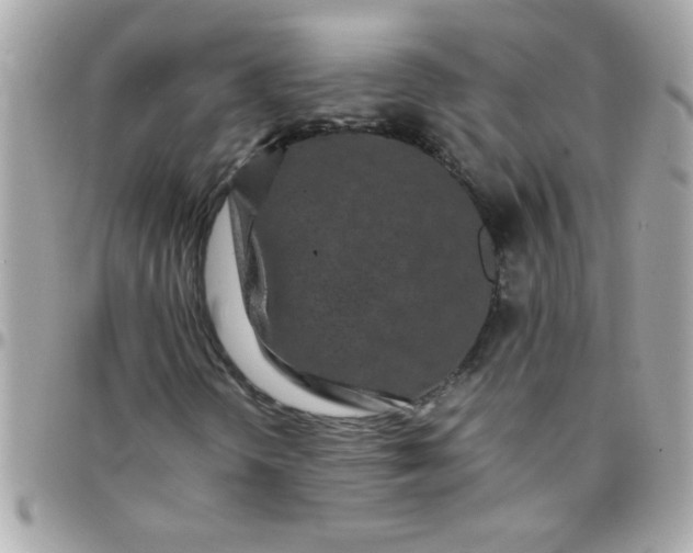 X0000097781298200803211750