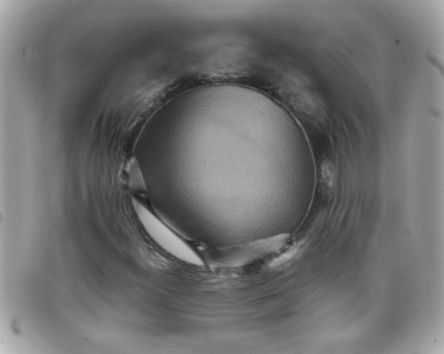 X0000097781300200803211750