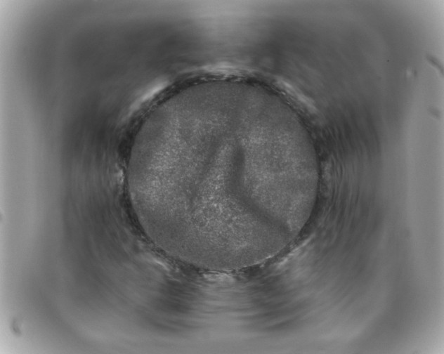 X0000097781302200803211750