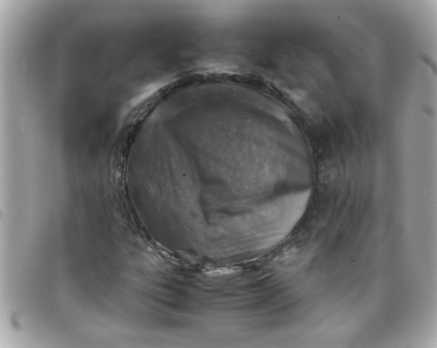 X0000097781303200803211750