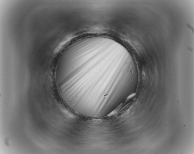 X0000097781304200803211750