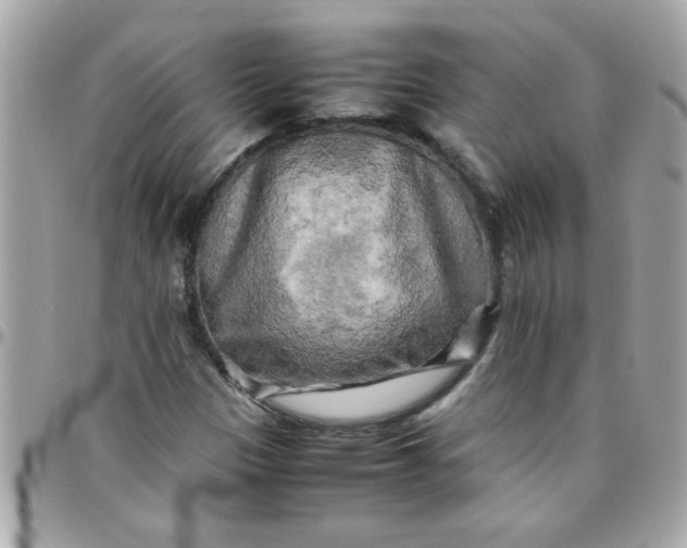 X0000097781305200803211750