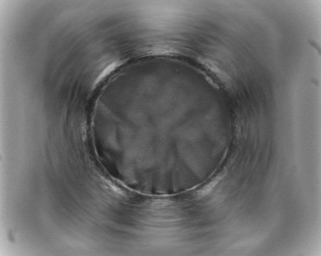 X0000097781306200803211750