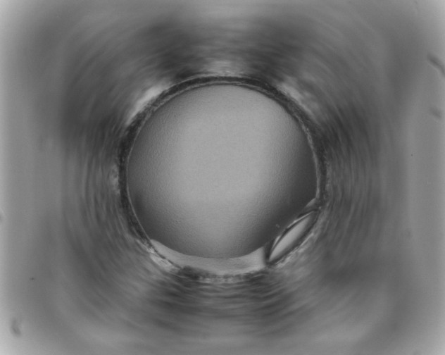 X0000097781307200803211750