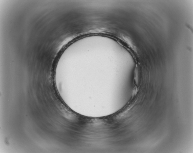 X0000097781308200803211750