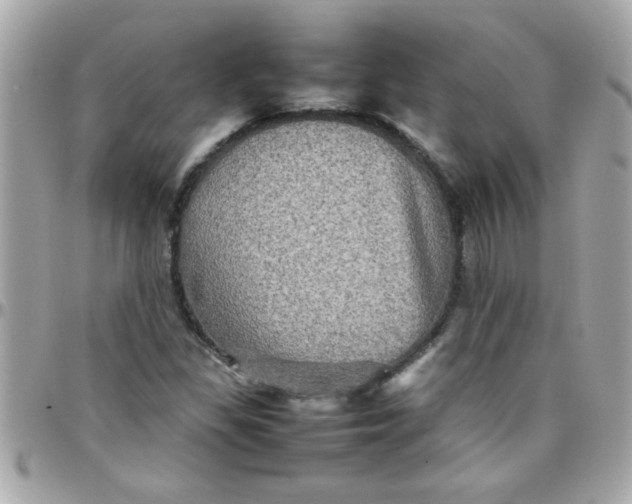 X0000097781309200803211750