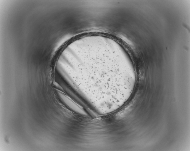 X0000097781310200803211750