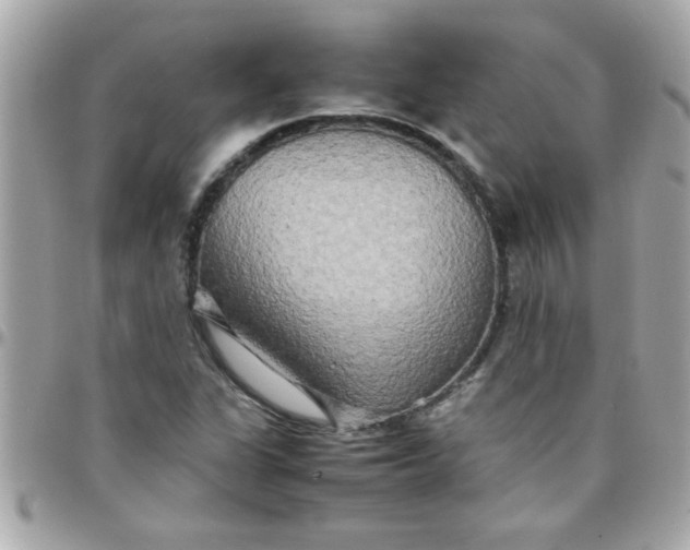 X0000097781311200803211750