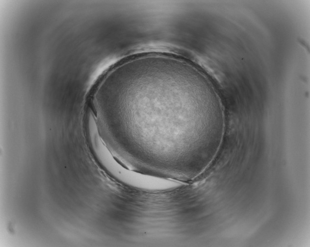 X0000097781312200803211750