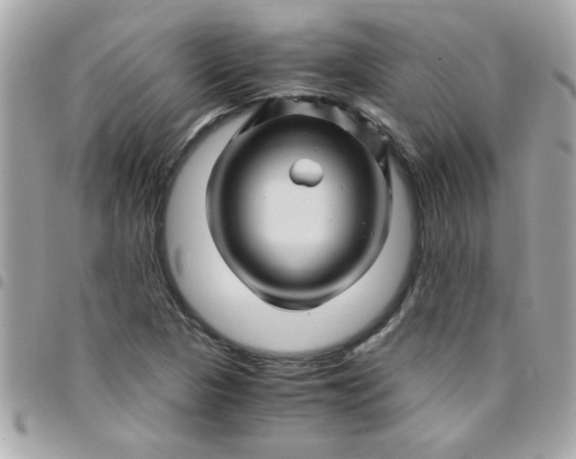 X0000097781313200803211750