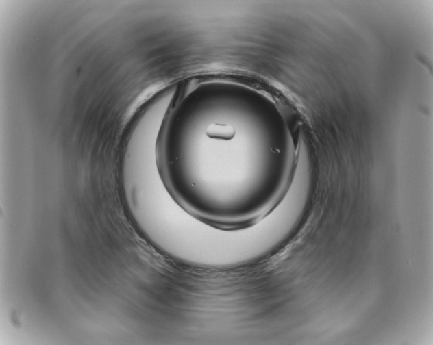 X0000097781314200803211750