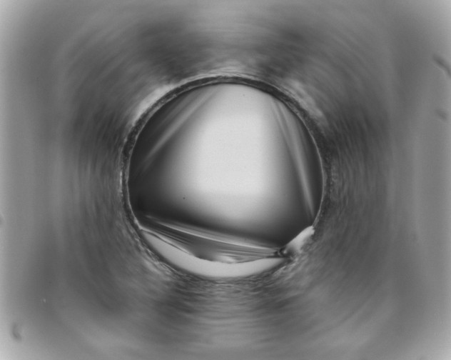 X0000097781316200803211750