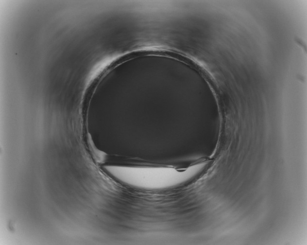 X0000097781319200803211750