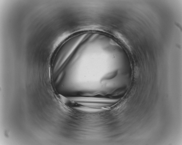 X0000097781320200803211750