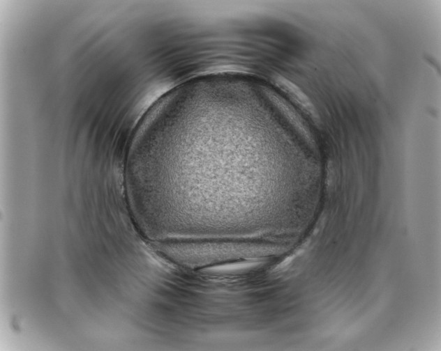 X0000097781321200803211750