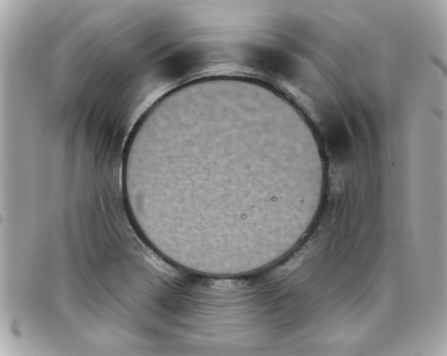 X0000097781322200803211750