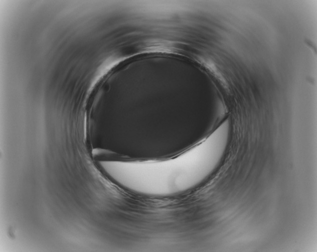 X0000097781323200803211750