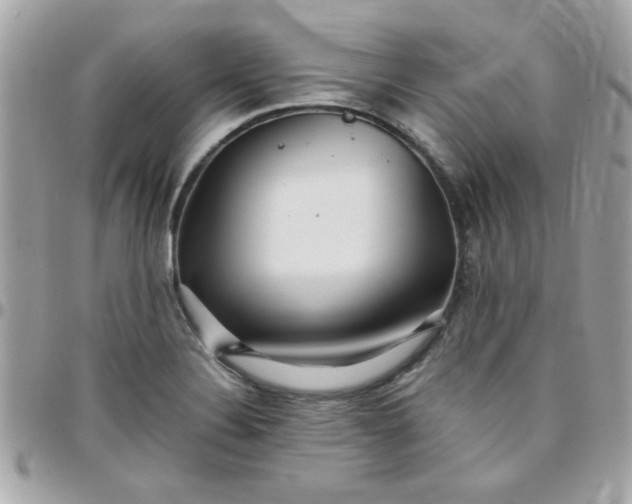 X0000097781324200803211750