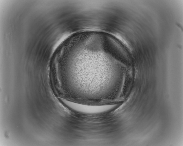 X0000097781325200803211750